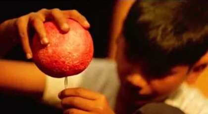 Khadi Hindi Newsletter